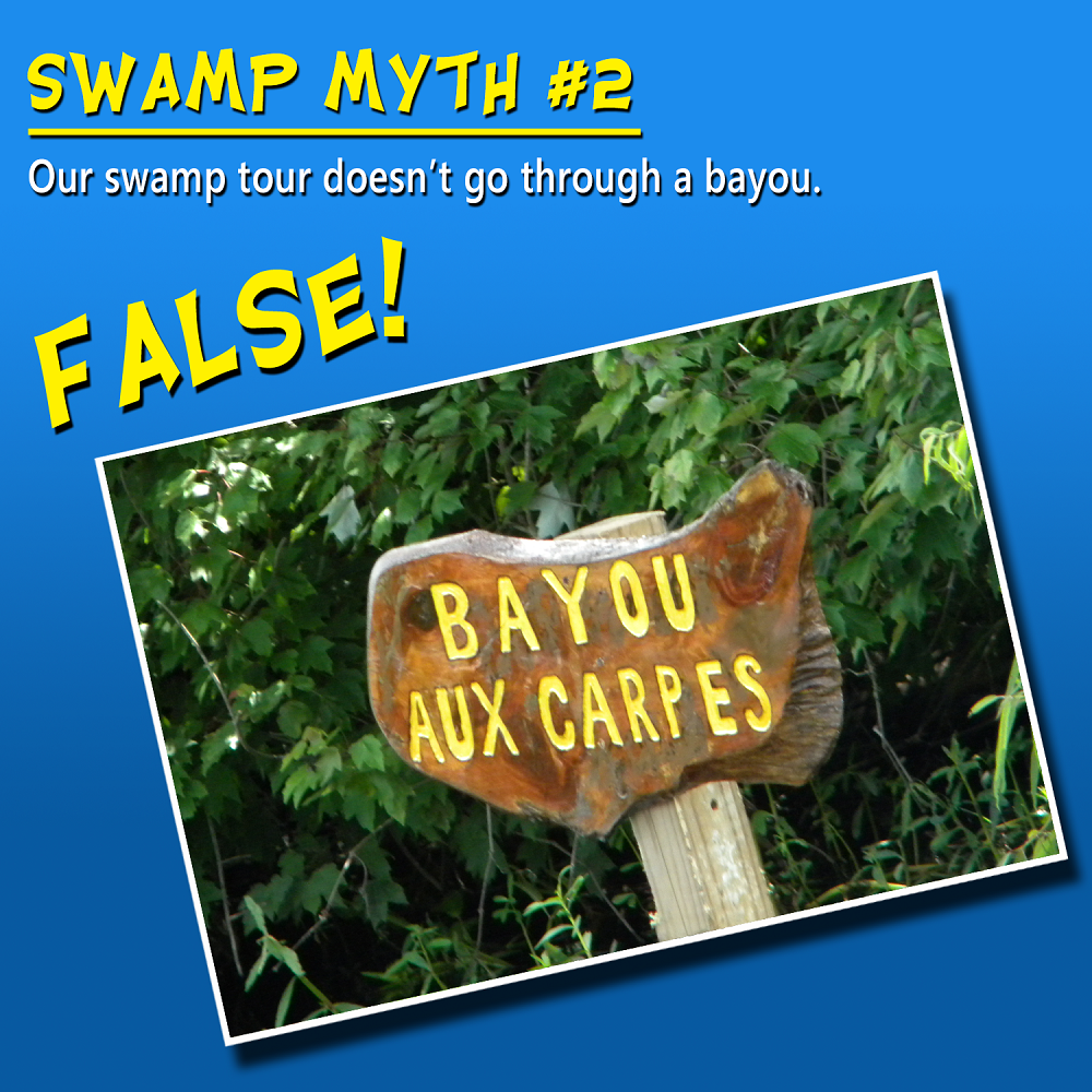 swamp vs bayou louisiana